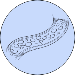 text-block-image-template--20495788114105__ss_text_block_pro_qDwpag