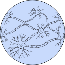 text-block-image-template--20495788114105__ss_text_block_pro_p7tqVY